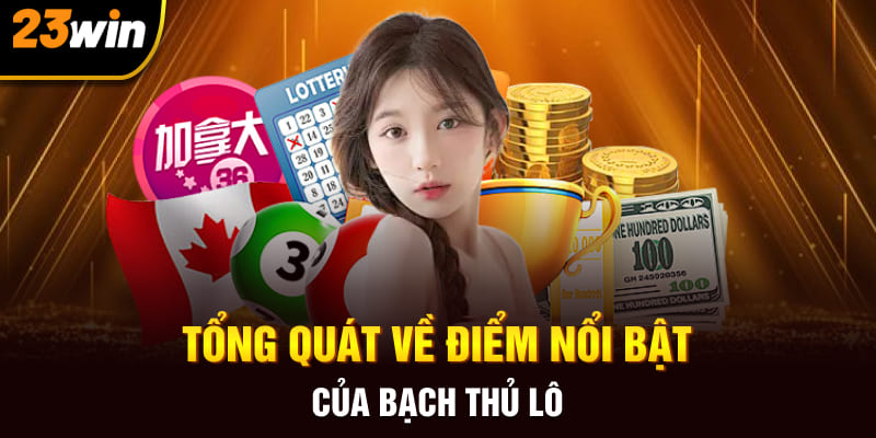 Tổng quát về điểm nổi bật của lô bạch thủ